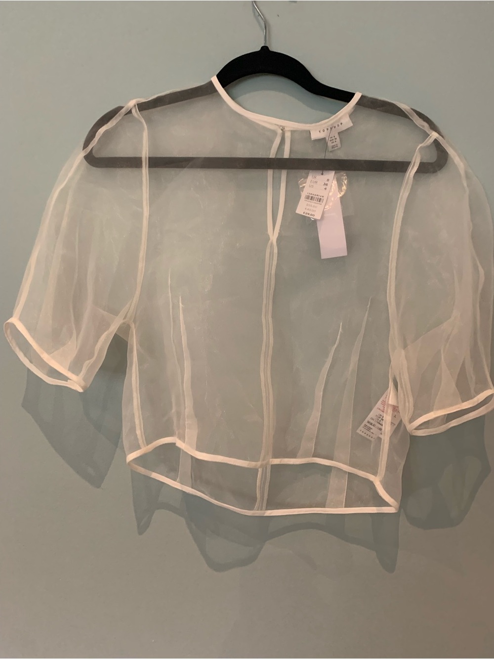 Topshop Sheer White Organza Crop Top with Piping - Picture 3 of 10